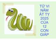 TỬ VI NĂM ẤT TỴ 2025 CỦA 12 CON GIÁP